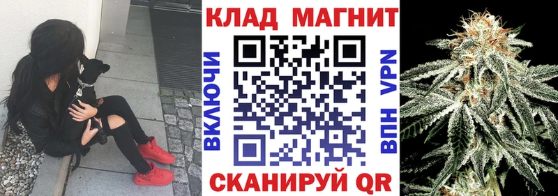 Купить закладку Alpha PVP Кокаин МЕФ Гашиш Нязепетровск