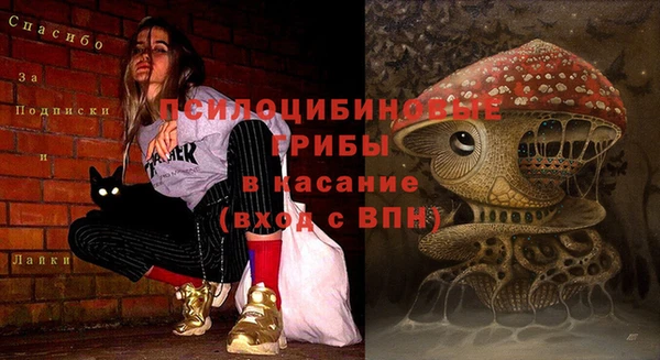 прущие крисы Армянск