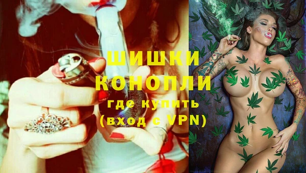 прущие крисы Армянск