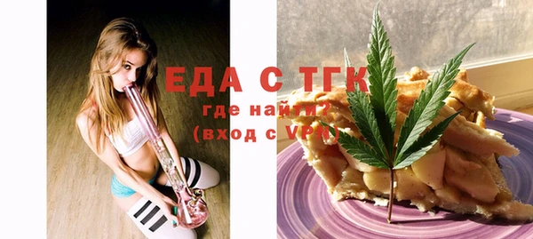 индика Алексин