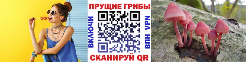 Псилоцибиновые грибы мухоморы  Купить  Нязепетровск 